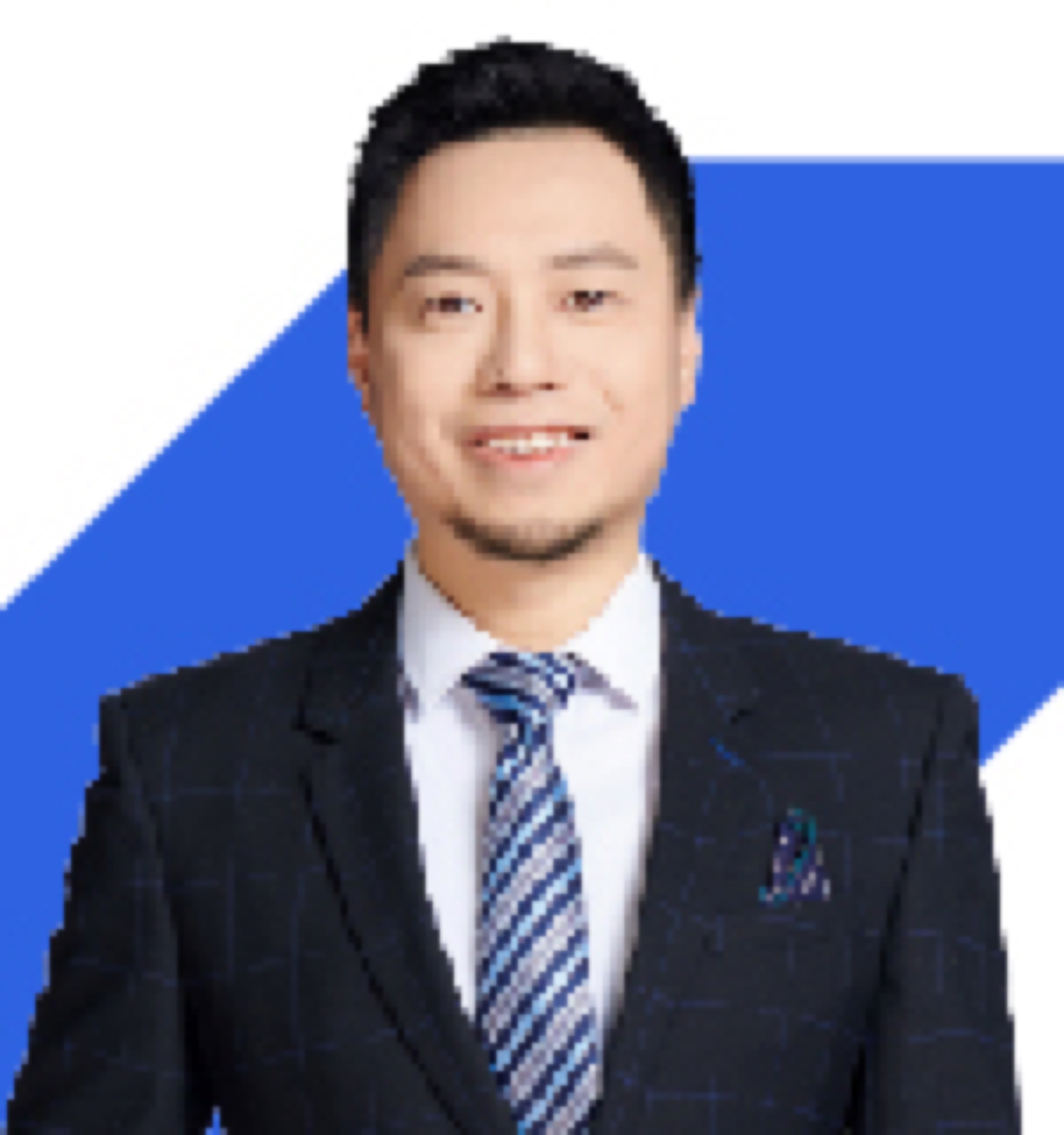 团队成员
